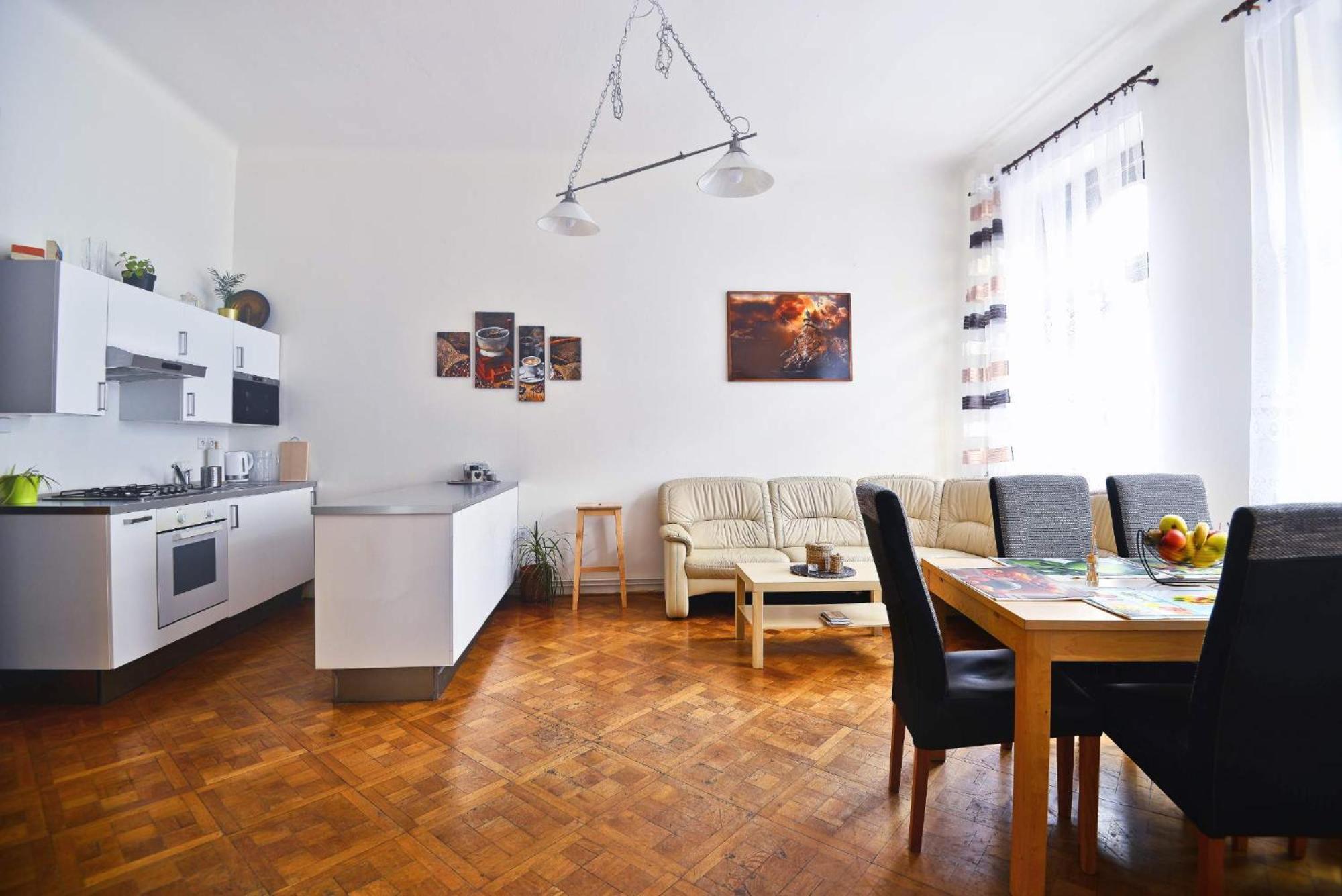 Spacious Cozy Apartments In Centre — Photos 3
